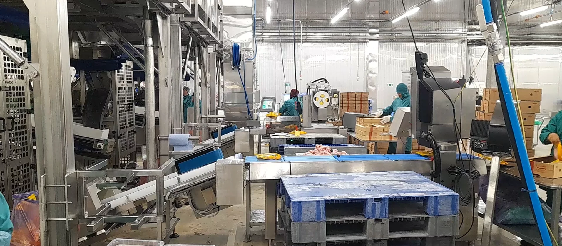 Фасовка частей курицы в пакет со вклейкой влаговпитывающей салфетки