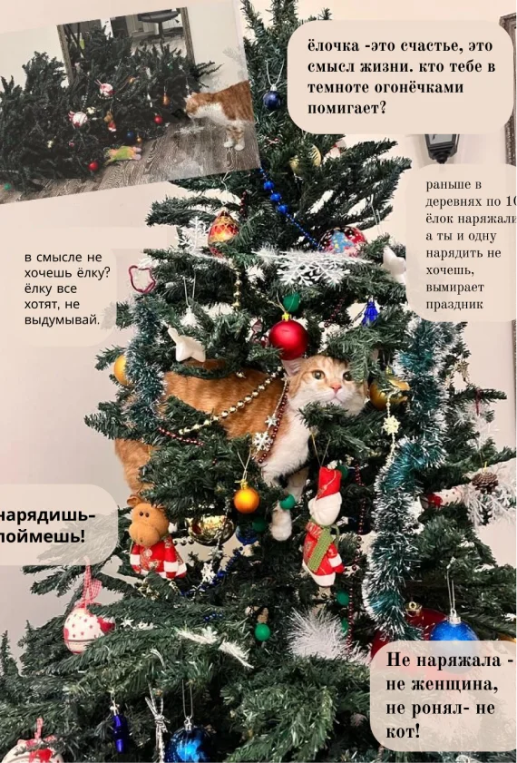 Корпоративные новогодние традиции СИГНАЛ-ПАК 5