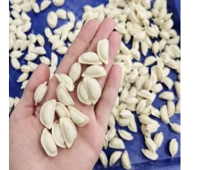 Вкусные пельмени: советуем уделять внимание работе с рецептурами 12