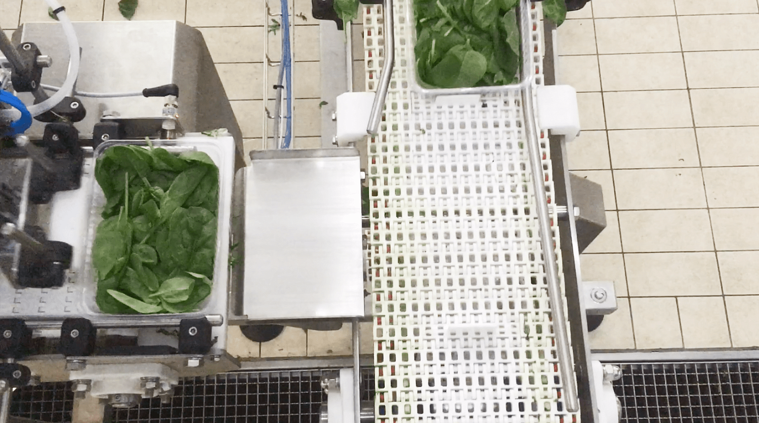 Производство свежих салатов и овощей: дозирование и упаковка зелени
