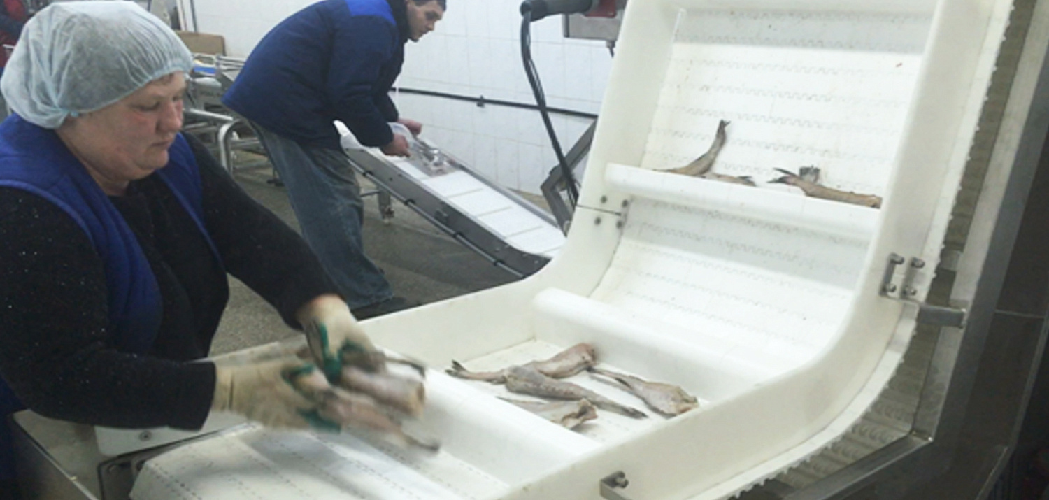 Переход с ручного труда на автоматизированное управление в рыбоперерабатывающем цехе