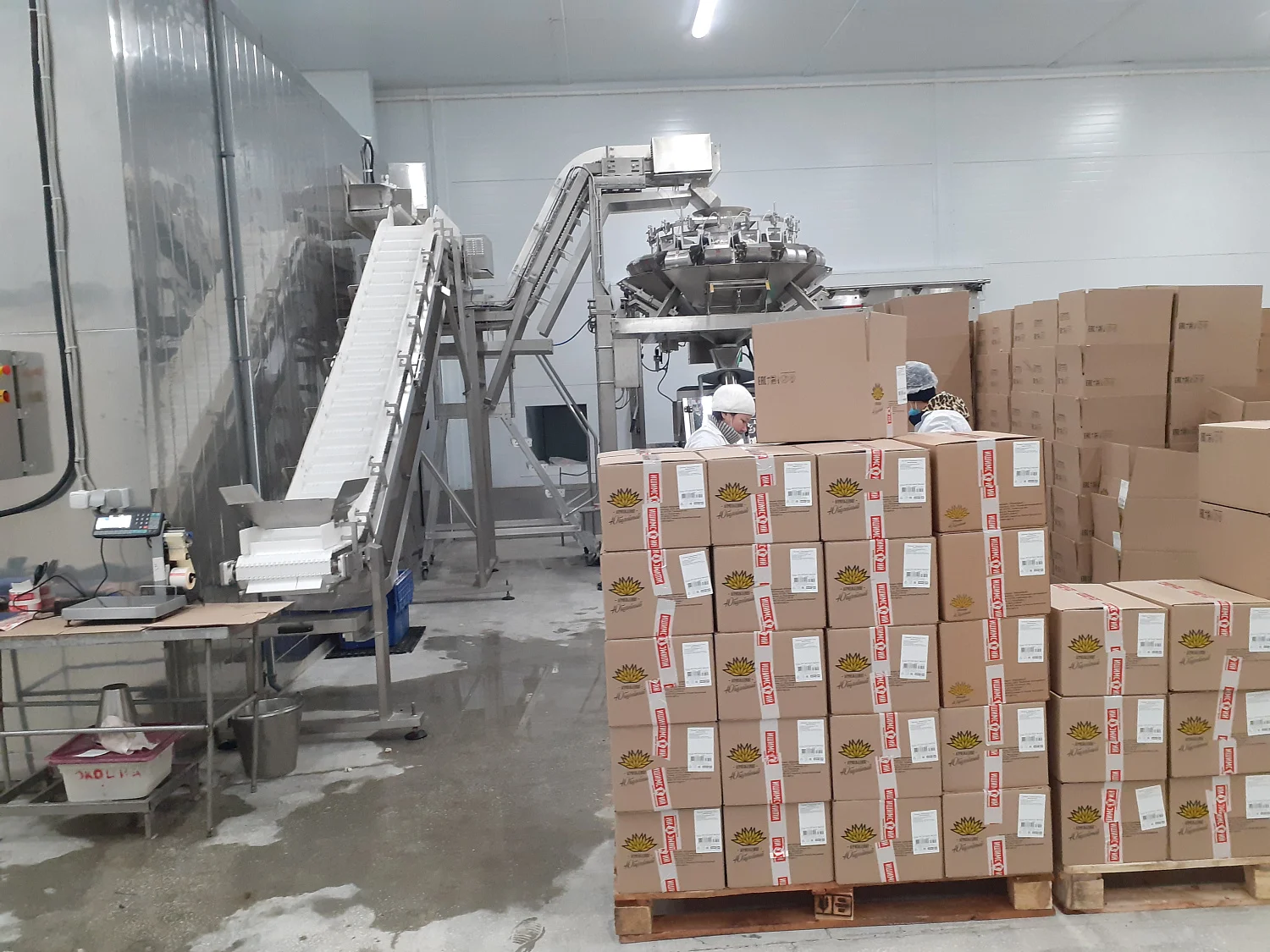 Линия по подготовке теста, производству, шоковой  заморозке и фасовке пельменей