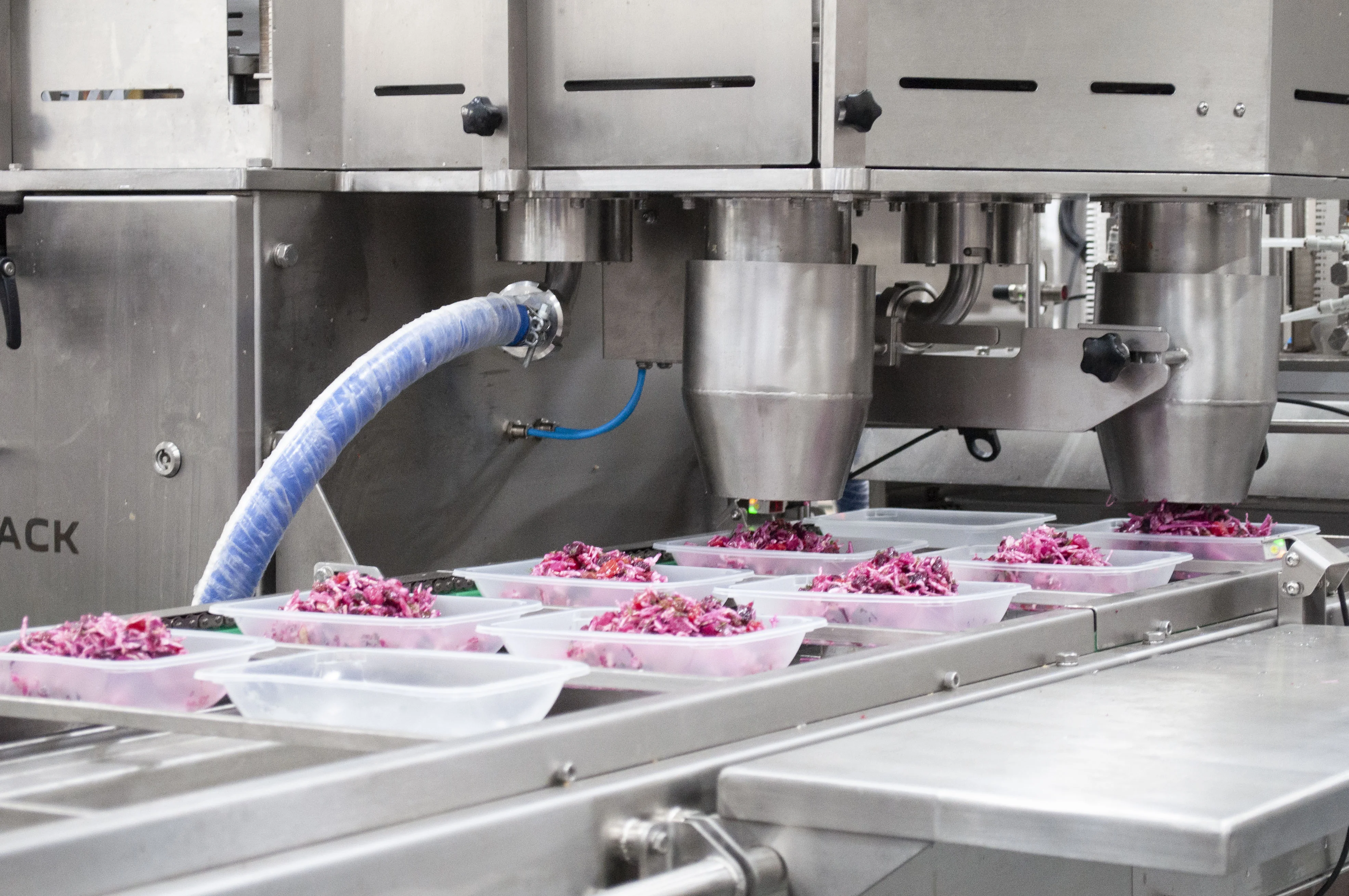 Получен патент на новый дозатор сыпучих продуктов для дозирования готовой еды