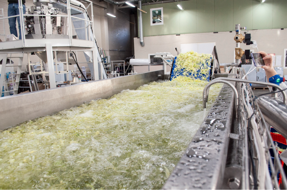 Бережно сохраняем свежесть продукта: мойка салатов от СИГНАЛ-ПАК 10