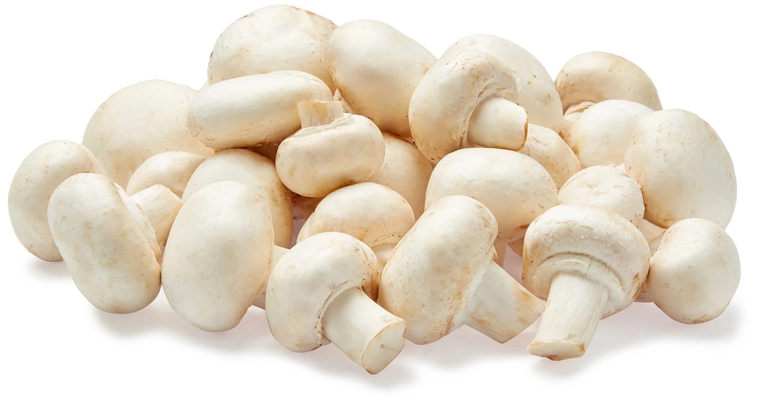 Бережно сохраняем свежесть продукта: мойка салатов от СИГНАЛ-ПАК 4