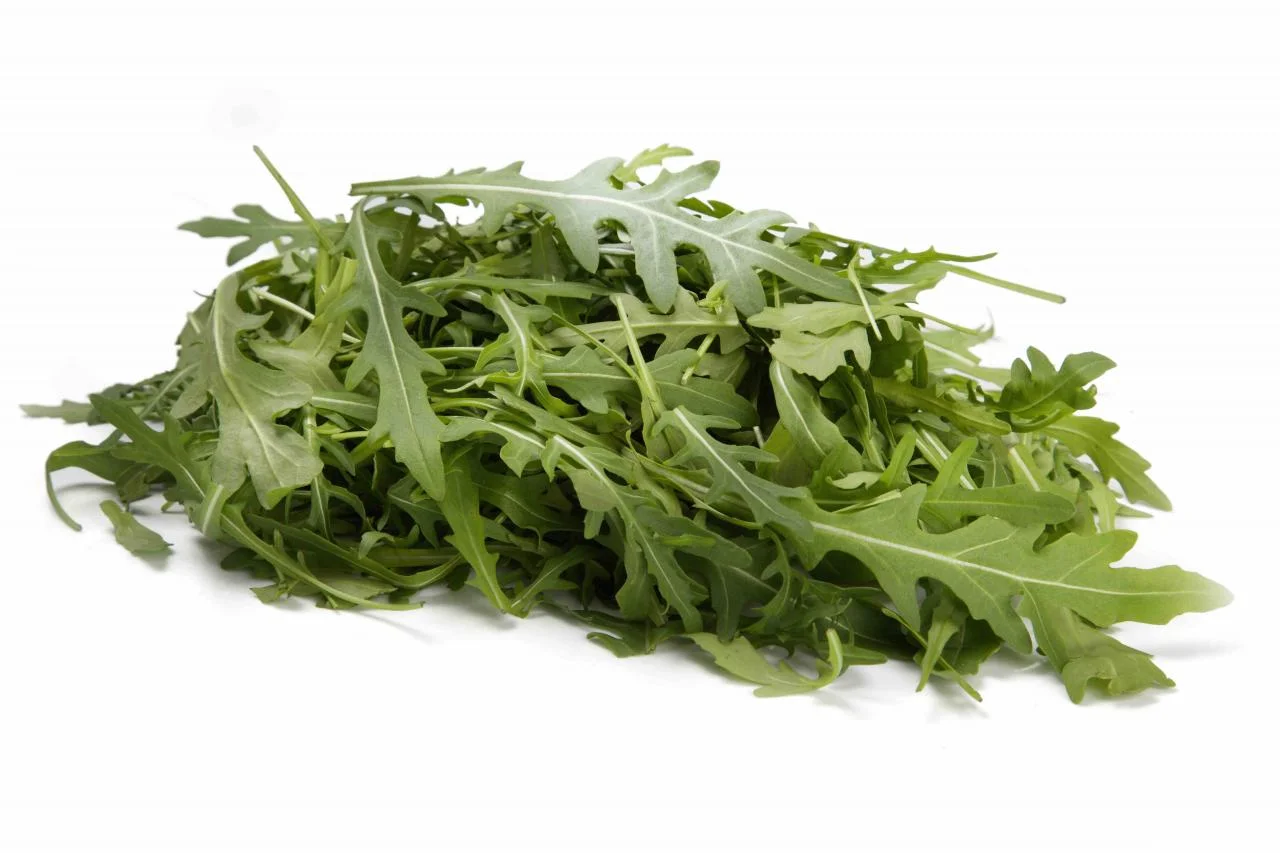 Бережно сохраняем свежесть продукта: мойка салатов от СИГНАЛ-ПАК 2